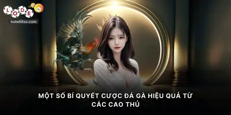Một số bí quyết cược đá gà LODE88 hiệu quả từ các cao thủ